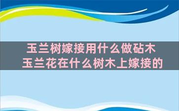 玉兰树嫁接用什么做砧木 玉兰花在什么树木上嫁接的